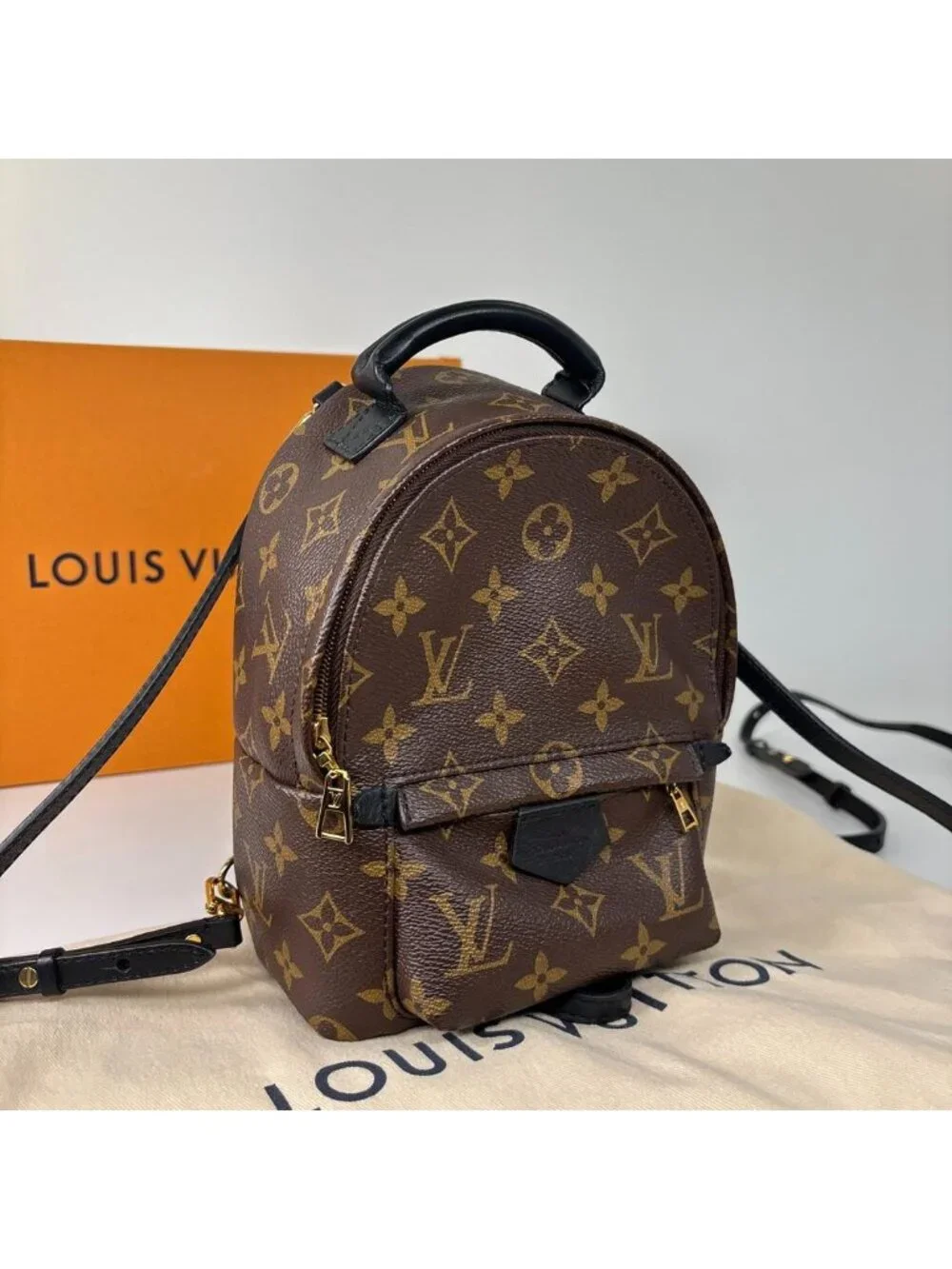 Louis Vuitton Palm Springs Mini Backpack Monogram